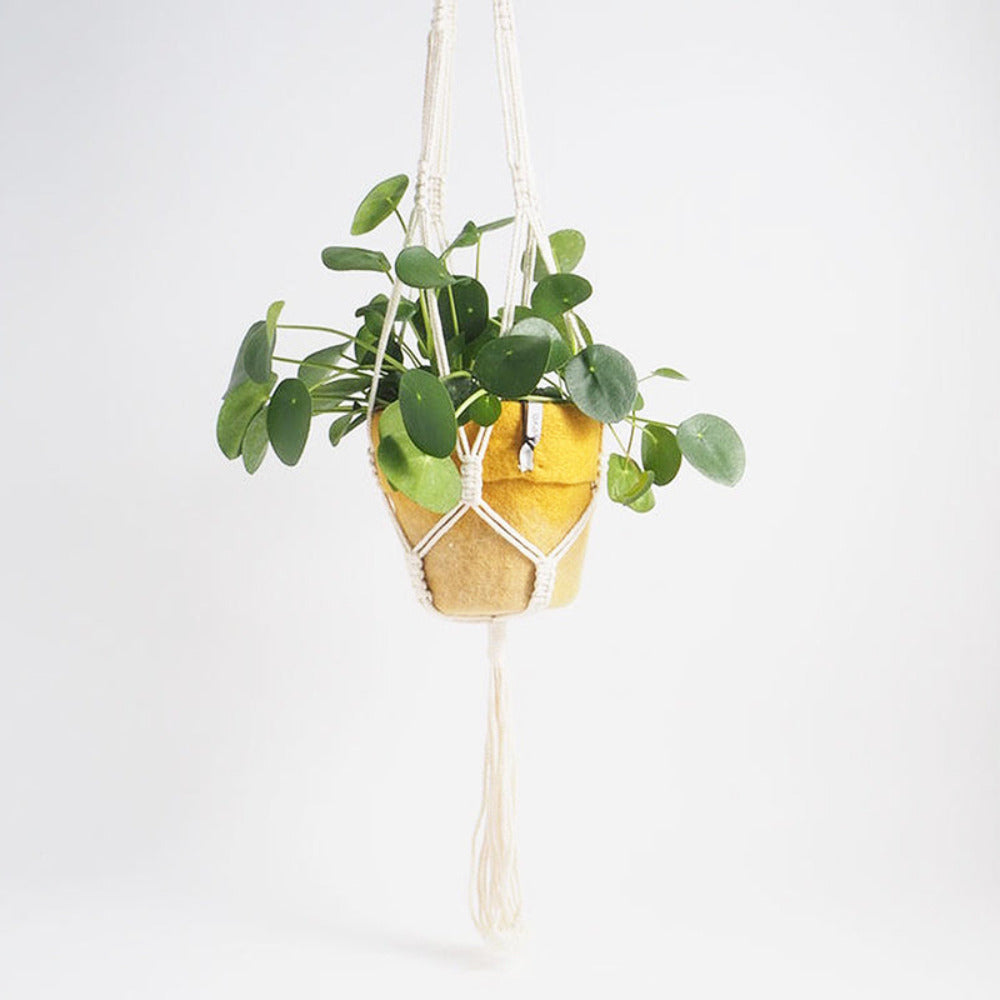 Aveva Flower Pot Hanger 2
