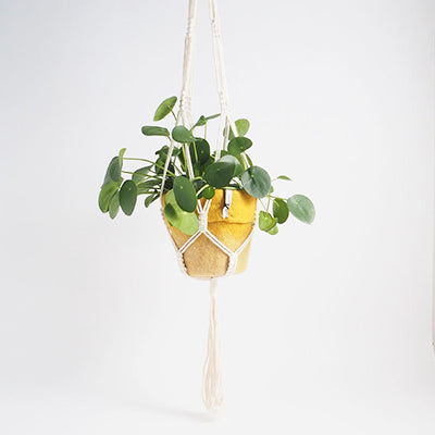 Aveva Flower Pot
