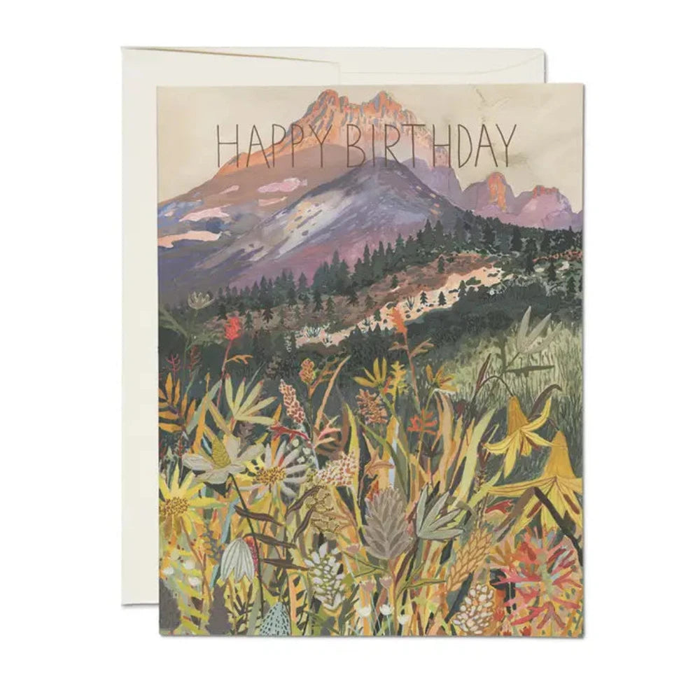 Greeting cards to compose sweet messages and can be kept and displayed because of how beautiful the designs are. They come blank inside, so you have all the control over the messages.