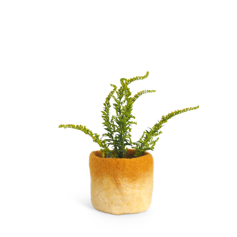 Aveva Flower Pot