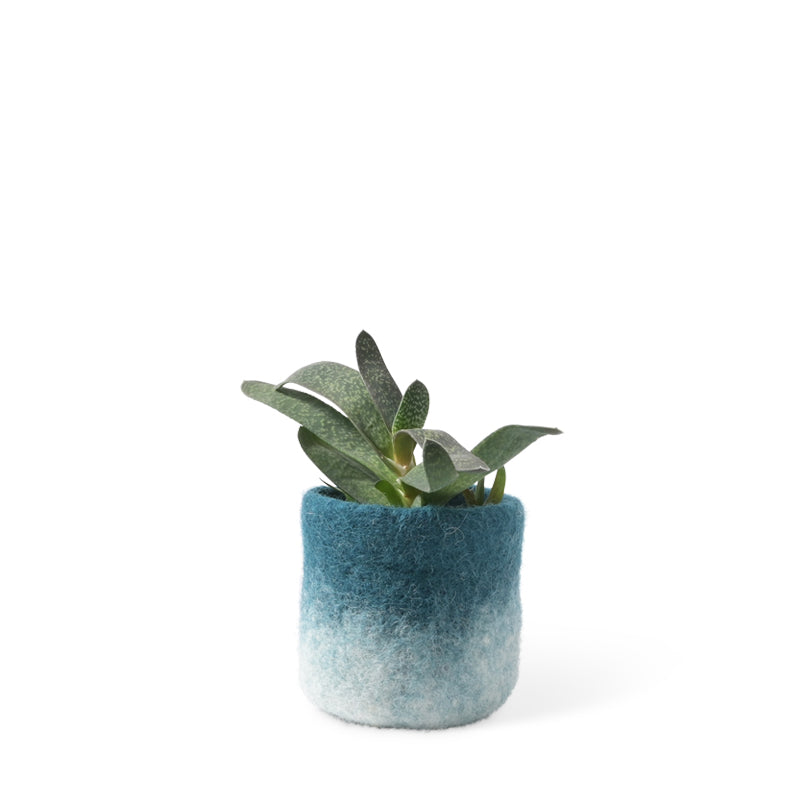 Aveva Flower Pot