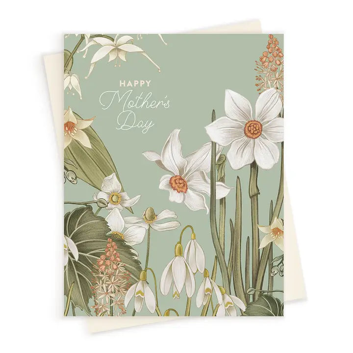 Greeting Cards