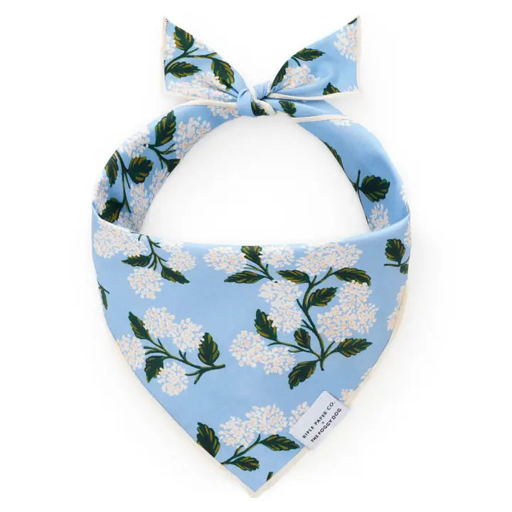Foggy Dog Bandana