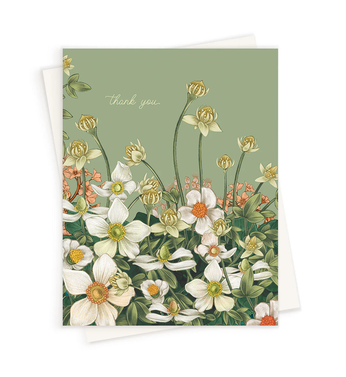 Greeting Cards