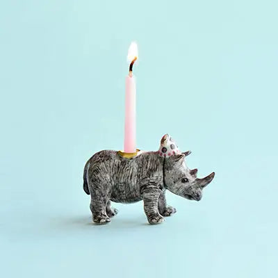 Animal Cake Toppers, Rino Birthday, Ceramic, Celebration, Gift Ideas, Cute, Camp Hollow