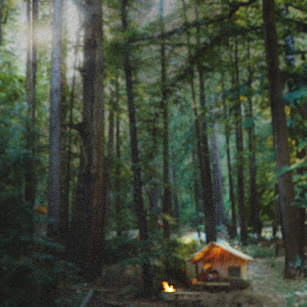 Nestled between the mountains and the crashing waves far below, a campfire cracks in a redwood grove.
