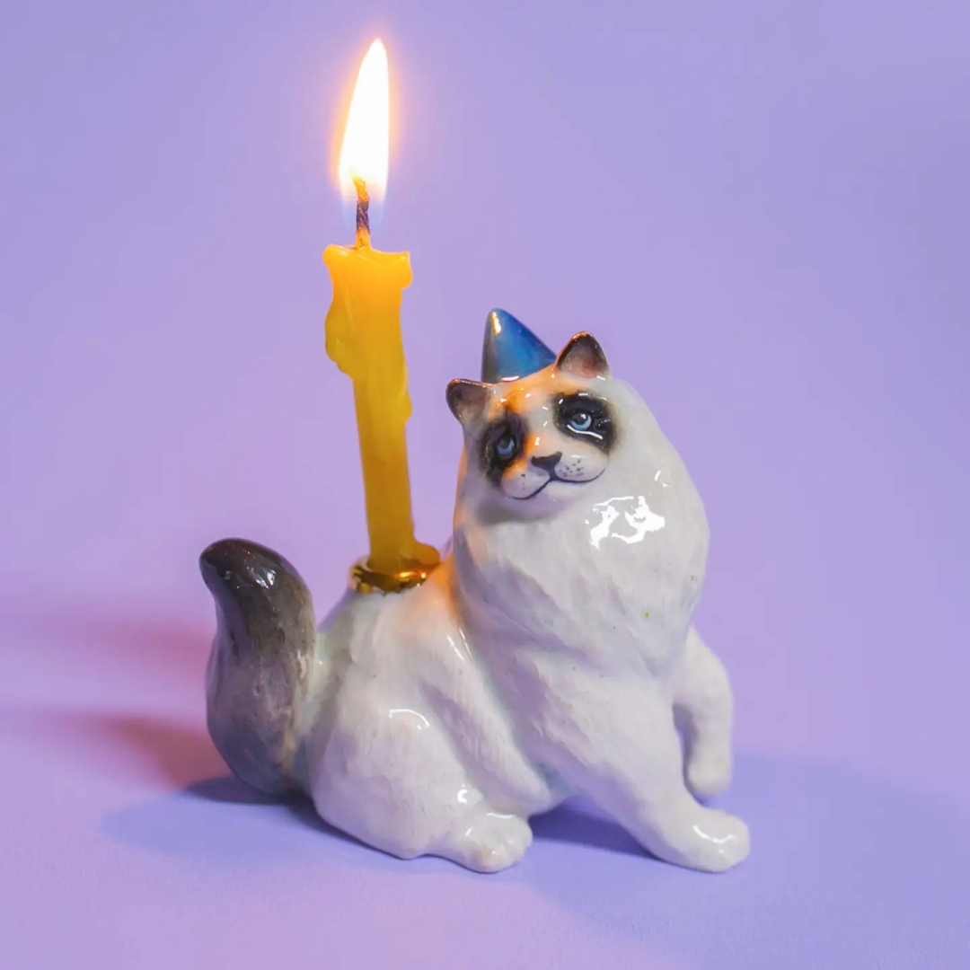 Animal Cake Toppers, Cat Ragdoll Birthday, Ceramic, Celebration, Gift Ideas, Cute, Camp Hollow