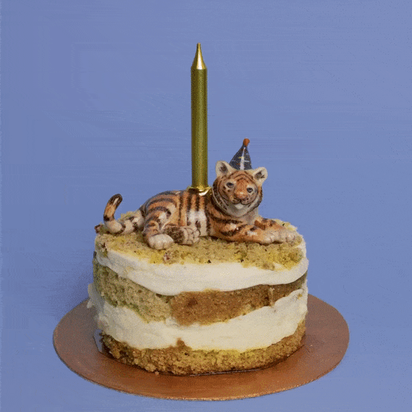 Camp Hollow Animal Cake Toppers Tiger