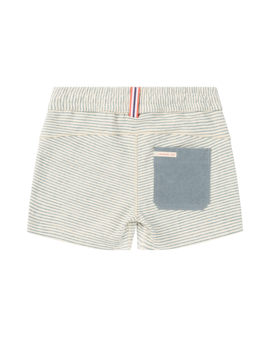 Striped shorts with a pocket on a white background