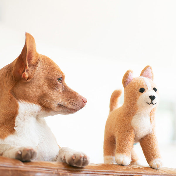 MODERNBEAST Wool Pet Toys
