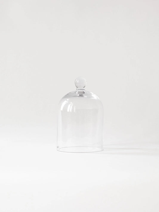 Tell Me More Glass Dome
