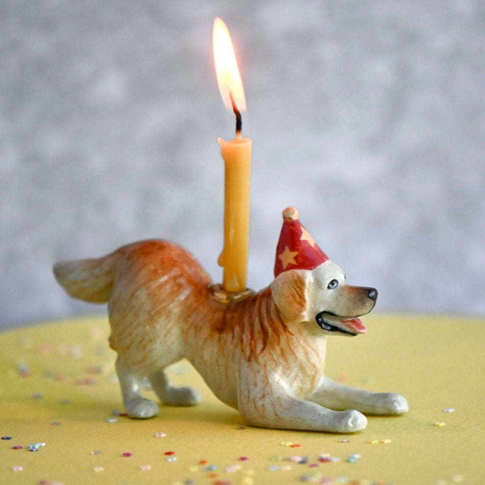 Animal Cake Toppers, Dog Birthday, Ceramic, Celebration, Gift Ideas, Cute, Camp Hollow, Golden Retriever