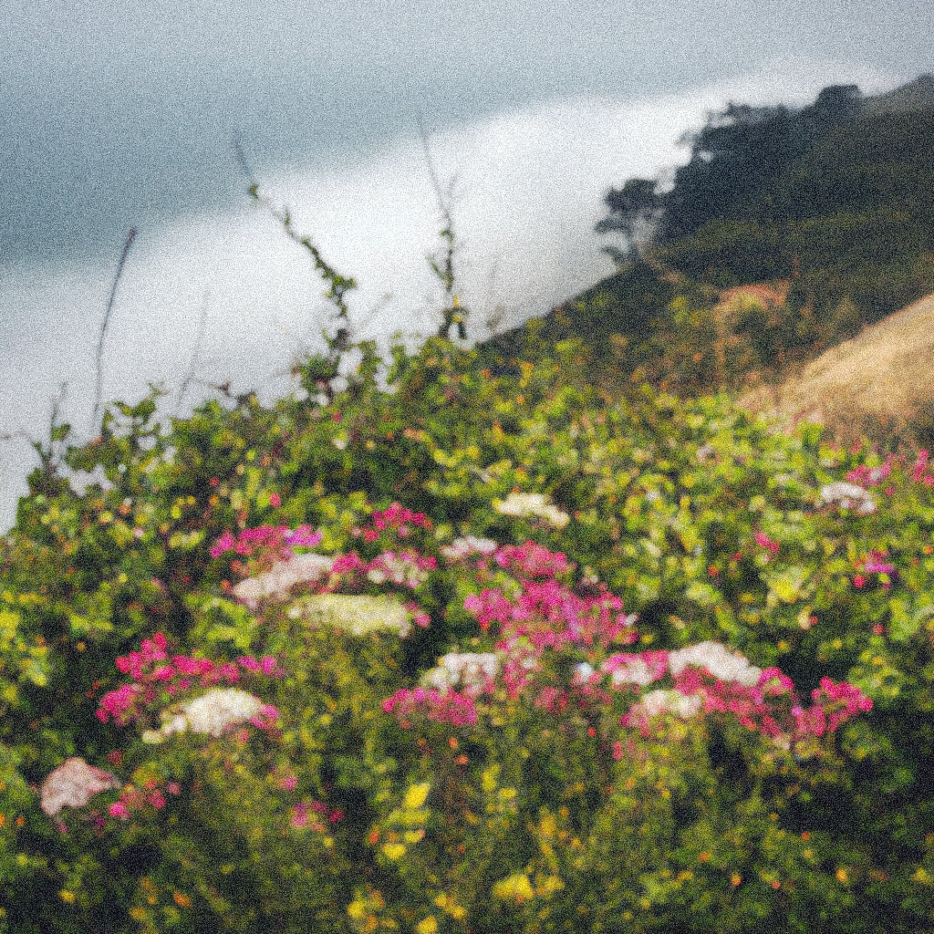 Morning fog gives way for the day, green hills, and fresh flowers.
Yuzu, Red Mandarine, Clary Sage, Green Tea, Jasmine Sambac, Sandalwood.