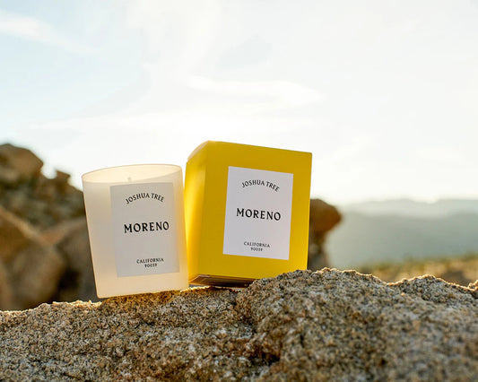 A candle in the scent Joshua Tree from Moreno California on a rocky surface with a desert landscape in the background.