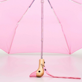Duck Umbrellas