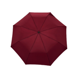 Duck Umbrellas