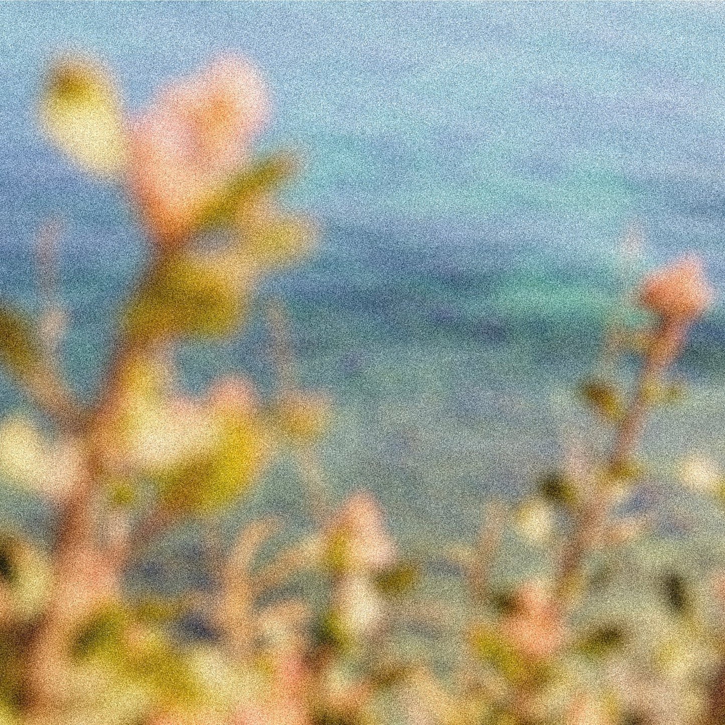 Summer’s wildflowers bloom and peek over the Malibu cliffs to the ocean below.
Black Currant, Freesia, Rose, Patchouli, and White Musk.