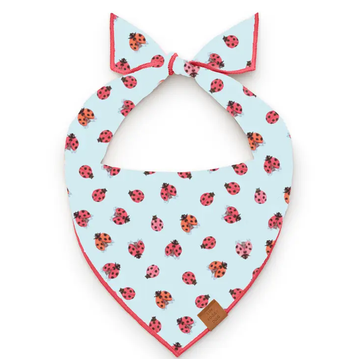 Foggy Dog Bandana