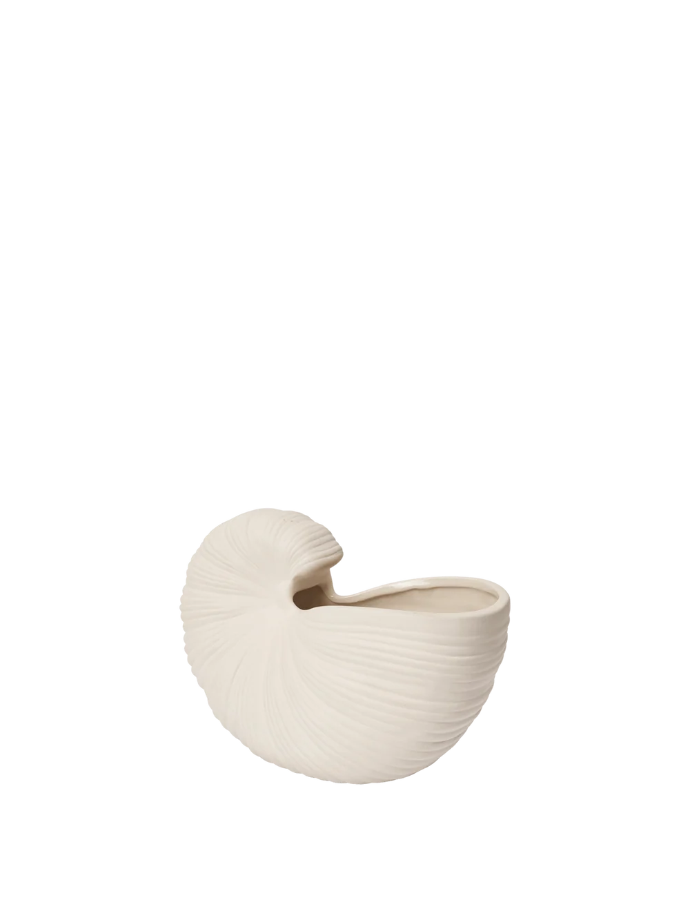 An off-white ceramic planter shaped like a nautilus shell, featuring a ribbed texture and a small opening at the top, shown against a solid white background.