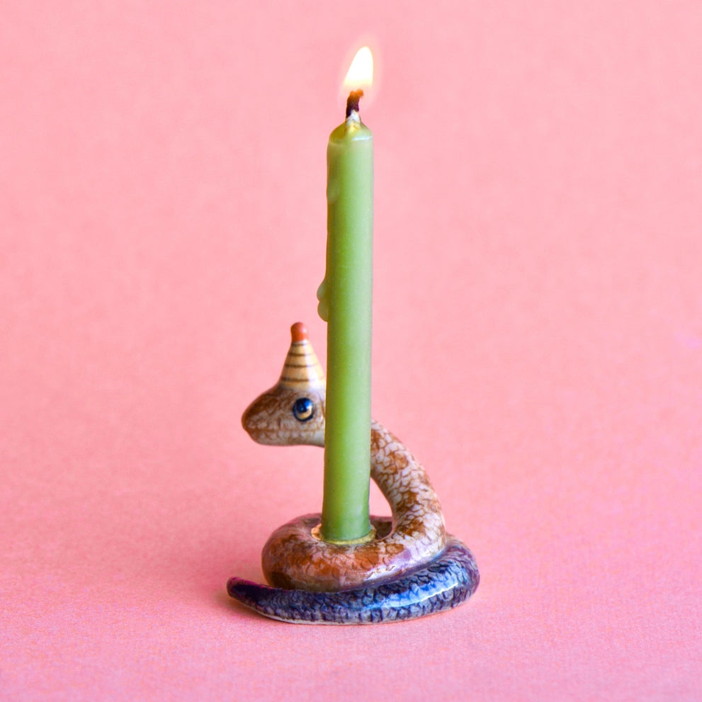 Animal Cake Toppers, Snake Birthday, Ceramic, Celebration, Gift Ideas, Cute, Camp Hollow