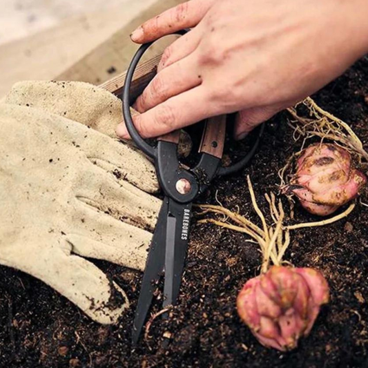 Garden Scissors