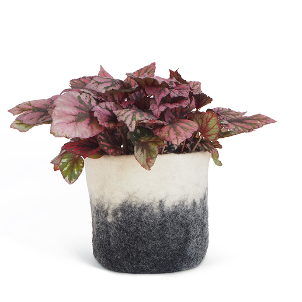 Aveva Flower Pot 18, Aveva’s handmade flowerpots in 100% wool with a flat bottom and two different colors blend together, creating a lovely ombré effect. The inside is coated with natural rubber that makes the flowerpot waterproof. Follow the care instructions below