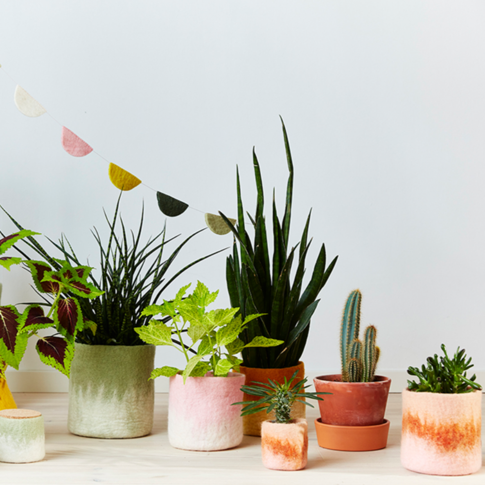 Aveva Flower Pot 18, Aveva’s handmade flowerpots in 100% wool with a flat bottom and two different colors blend together, creating a lovely ombré effect. The inside is coated with natural rubber that makes the flowerpot waterproof. Follow the care instructions below