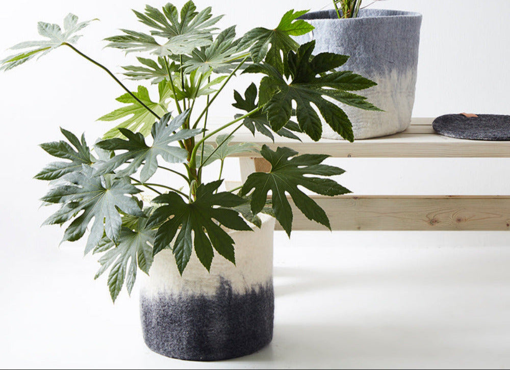 Aveva Flower Pot 18, Aveva’s handmade flowerpots in 100% wool with a flat bottom and two different colors blend together, creating a lovely ombré effect. The inside is coated with natural rubber that makes the flowerpot waterproof. Follow the care instructions below