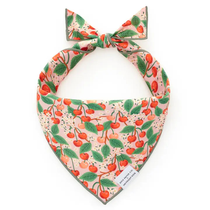 Foggy Dog Bandana