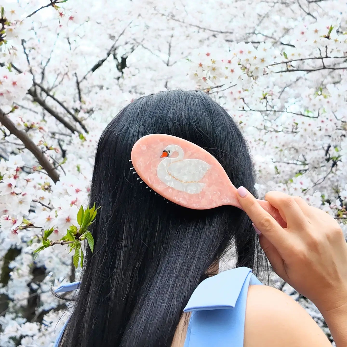 Hair Brush, Vegan, Hair Health, Boar Bristles, Hand painted, Swan
