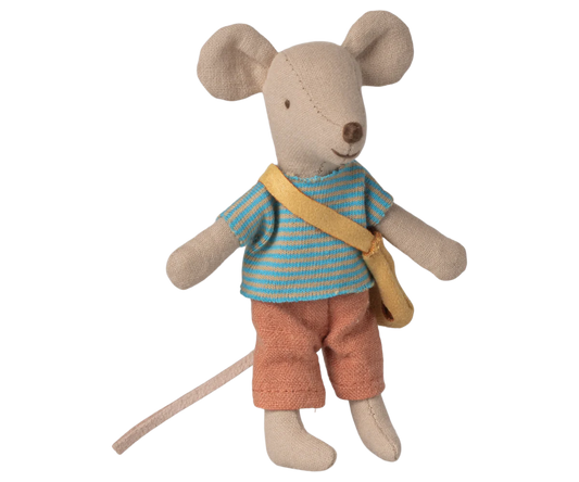 A little sister mouse and little brother dressed up for a playful day. They wear a small cheese bag for all their personal belongings and have magnets in hands. Add extra accessories and furniture to extend the play and storytelling about these new friends.