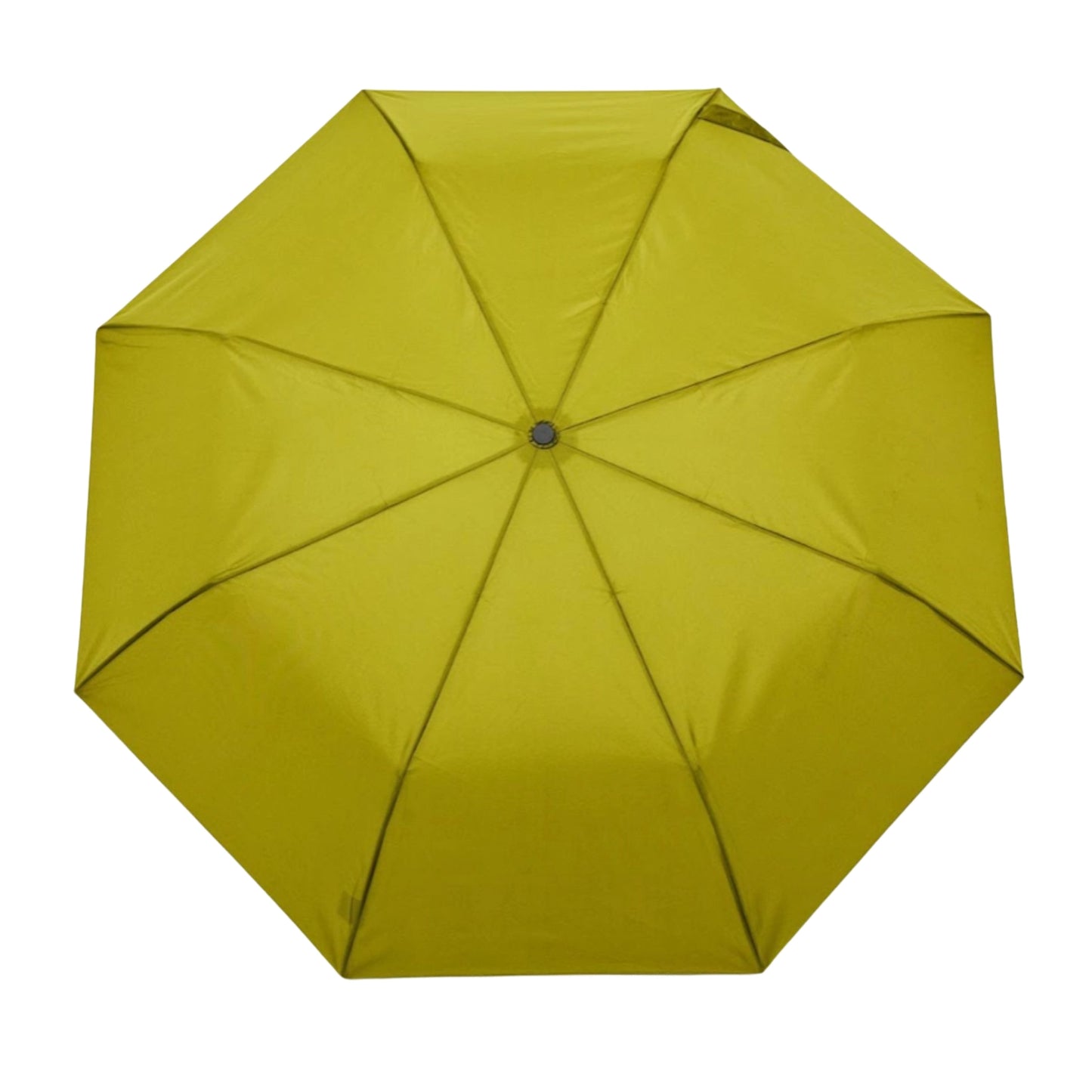 Duckhead Umbrellas