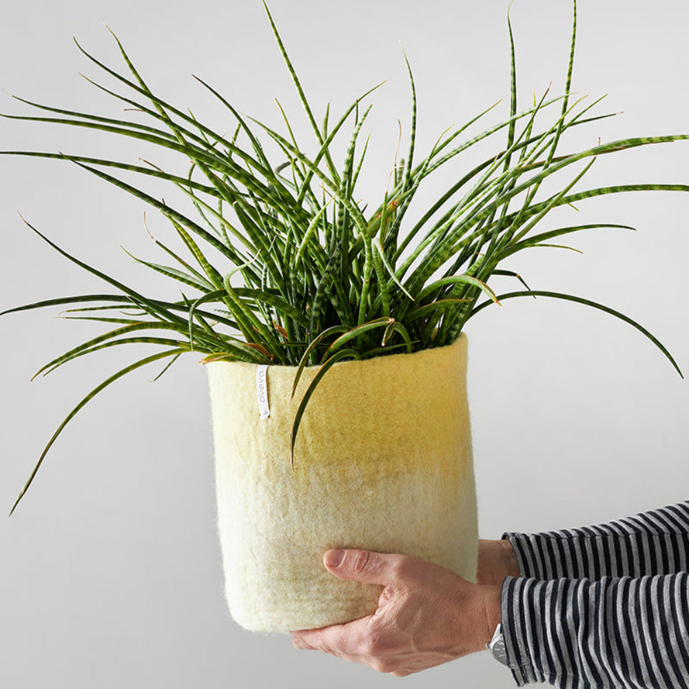 Aveva Flower Pot 18, Aveva’s handmade flowerpots in 100% wool with a flat bottom and two different colors blend together, creating a lovely ombré effect. The inside is coated with natural rubber that makes the flowerpot waterproof. Follow the care instructions below