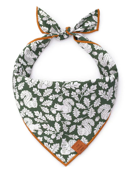 Foggy Dog Bandana