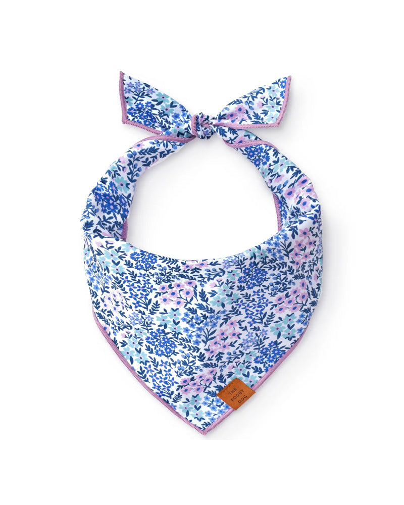 Foggy Dog Bandana