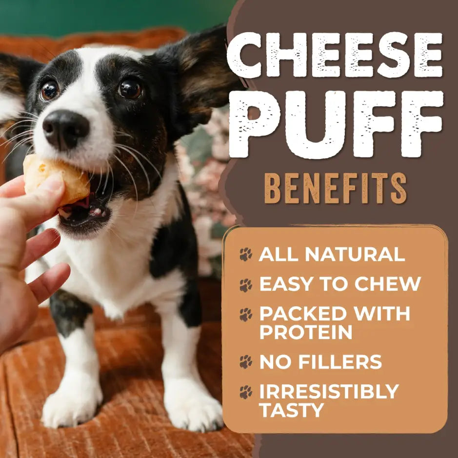 Dairy-free, Gluten-free, Grain-free, Low sugar, Nut-free, Soy-free, Sugar-free, and Whole Foods, No added hormones, No added nitrates or nitrites, No antibiotics, and No preservatives, Additive-free, All-natural, Flax-free, Gluten-free, High Protein, Limited Ingredient, Low Fat, Preservative-free, Raw, Sensitive Digestion, and Wheat-free dog treats 