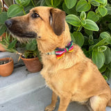 Handwoven Pet Bow Tie