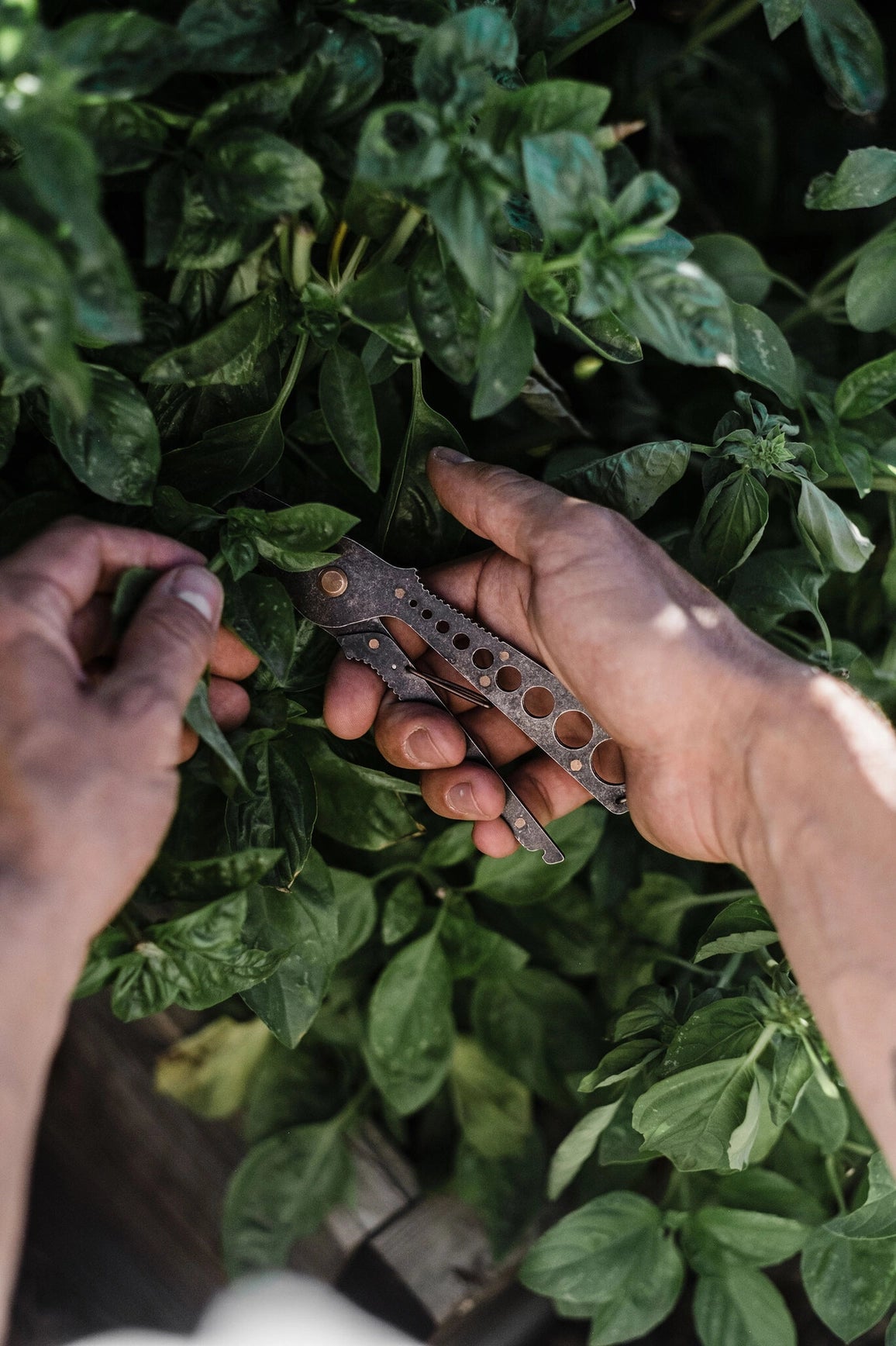 Herb Harvest + Spripper Tool