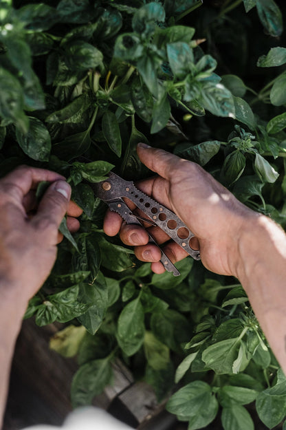 Herb Harvest + Spripper Tool