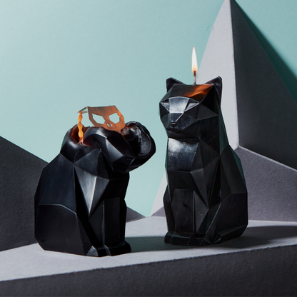 Kisa Cat- Black