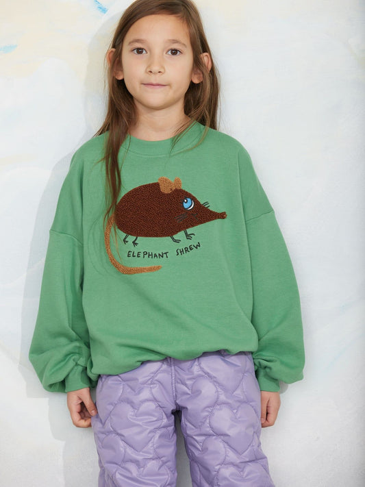 A young girl with long brown hair stands against a light textured wall wearing a green crewneck sweatshirt with a brown elephant shrew graphic and purple quilted pants.