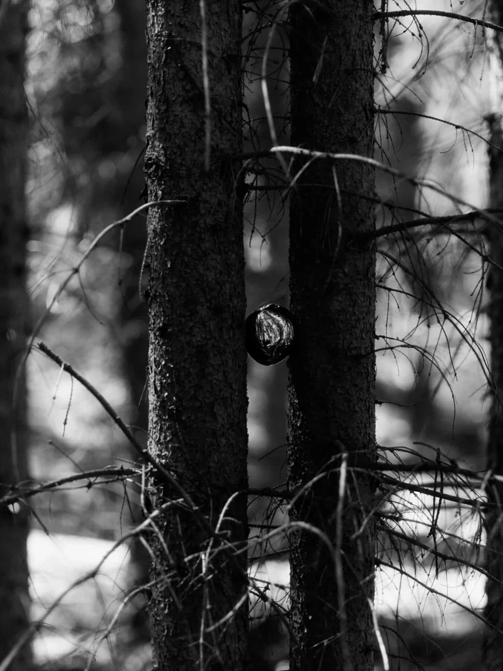Inspired by the gentle forms of river stones and organic shapes, the Bellure Baubles offer a sculptural simplicity that feels both modern and timeless. Their smooth, abstract shapes add an artistic touch to your holiday décor, evoking a quiet sense of beauty. Each set includes a ribbon, making them ideal for decorating the Christmas tree, adorning a wreath, or enhancing a festive table setting.