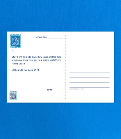A white postcard with printed text and a blue 'POST CLUB' logo stamp box, placed on a bright blue textured background.