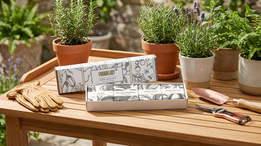 A quartet of garden fragrances in our 2oz petite soaps that capture the essence of gardening - vine, leaf, fruit, and bloom. 