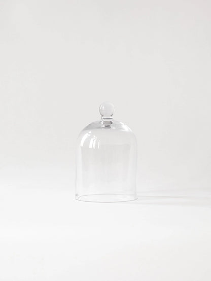 Tell Me More Glass Dome