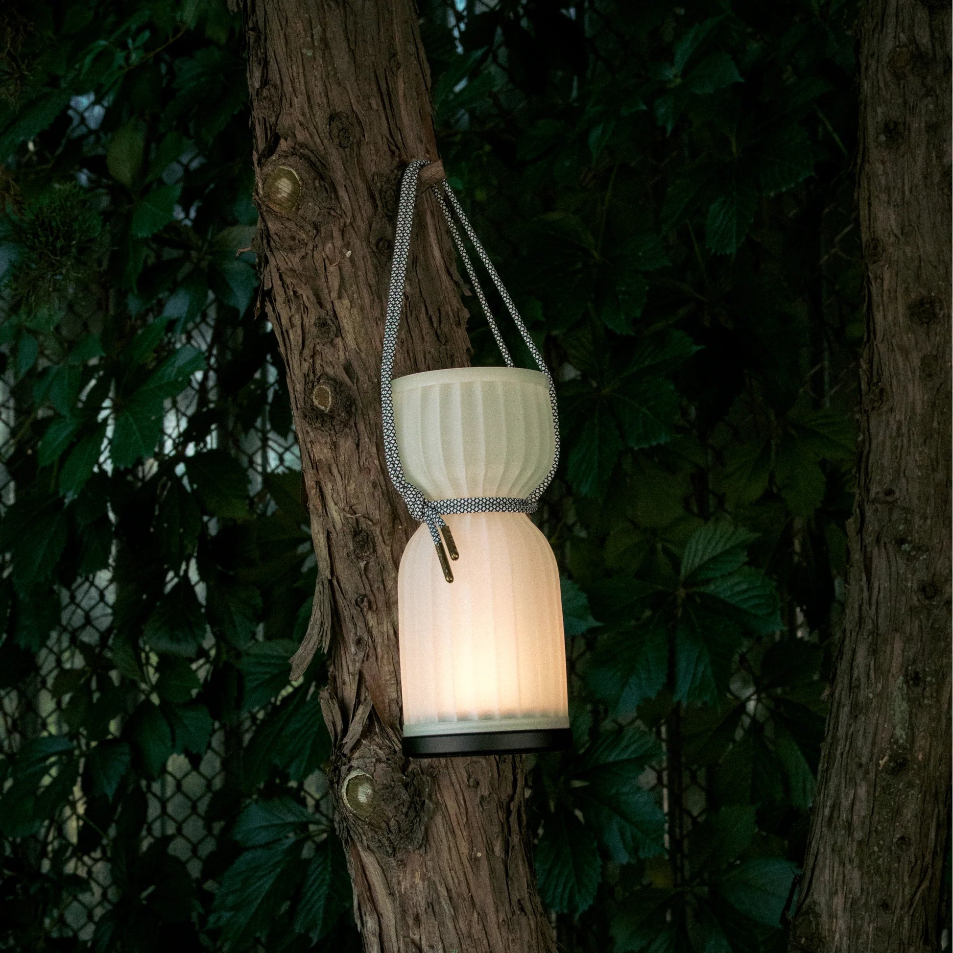 Luminous lantern hanging on a branch with a natural background