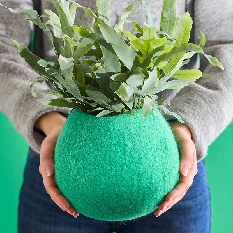 Person holding a green felt plant pot with a plant against a green background