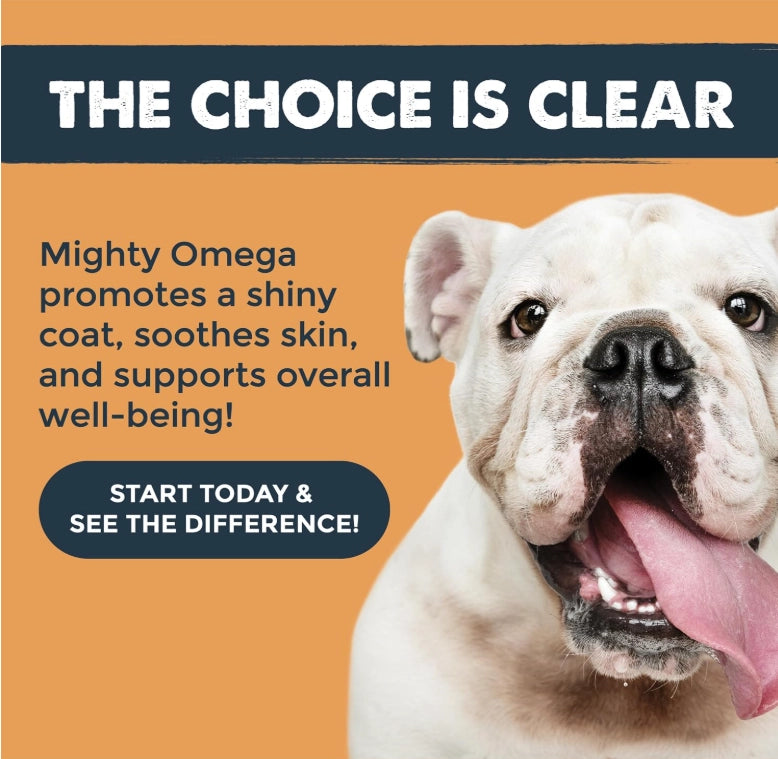 We love our best furry friends so much and using these vet formulated chews will support your dog’s health from the inside out. These premium supplements made with wild-caught salmon oil rich in omega-3 fatty acids, including EPA and DHA. These nutrients are known to help reduce shedding, soothe itchy or flaky skin, and promote a soft, shiny coat. Made in the USA, these chews also contribute to heart, brain, joint, and immune system health.