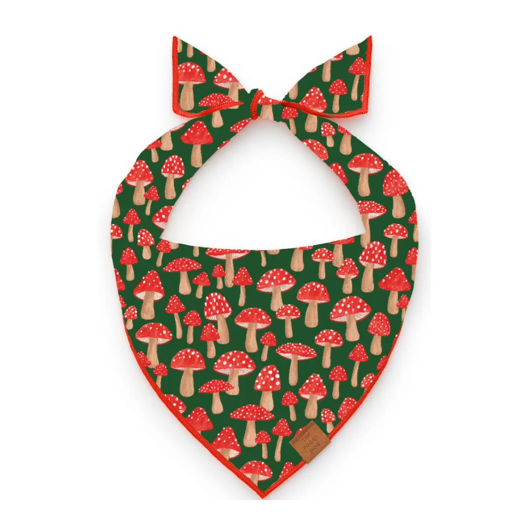 Foggy Dog Bandana
