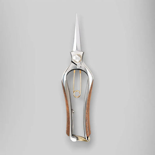 The Niwaki Kurumi Pro Snips are specially designed for precision floral work, making them perfect for delicate cutting and trimming of flowers and stems. With their two-pointed blades, these snips offer unmatched accuracy, ensuring clean, sharp cuts without damaging the plant. Forged from durable KA-70 carbon steel, they are designed for long-lasting performance, making them a valuable addition to any gardener's toolkit.